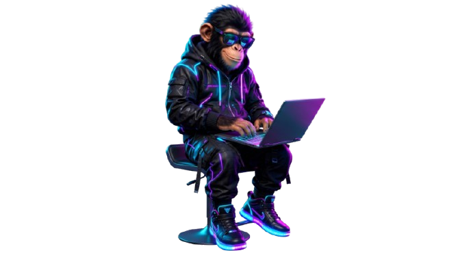Macacão com Notebook
